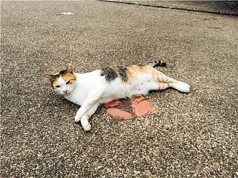 《Redemption Reapers》终极预告发布 黑暗奇幻风