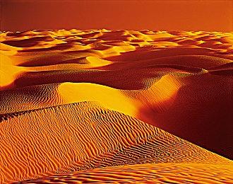 NEXON竞技射击游戏《VEILED EXEPRTS 幕后高手》 最终测试现已开启！