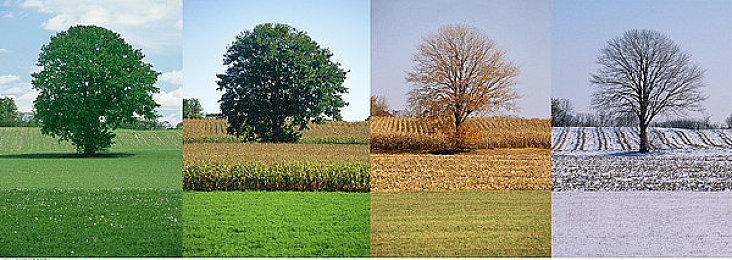 《我的世界》庆祝《索尼克》30周年联动DLC现已上市